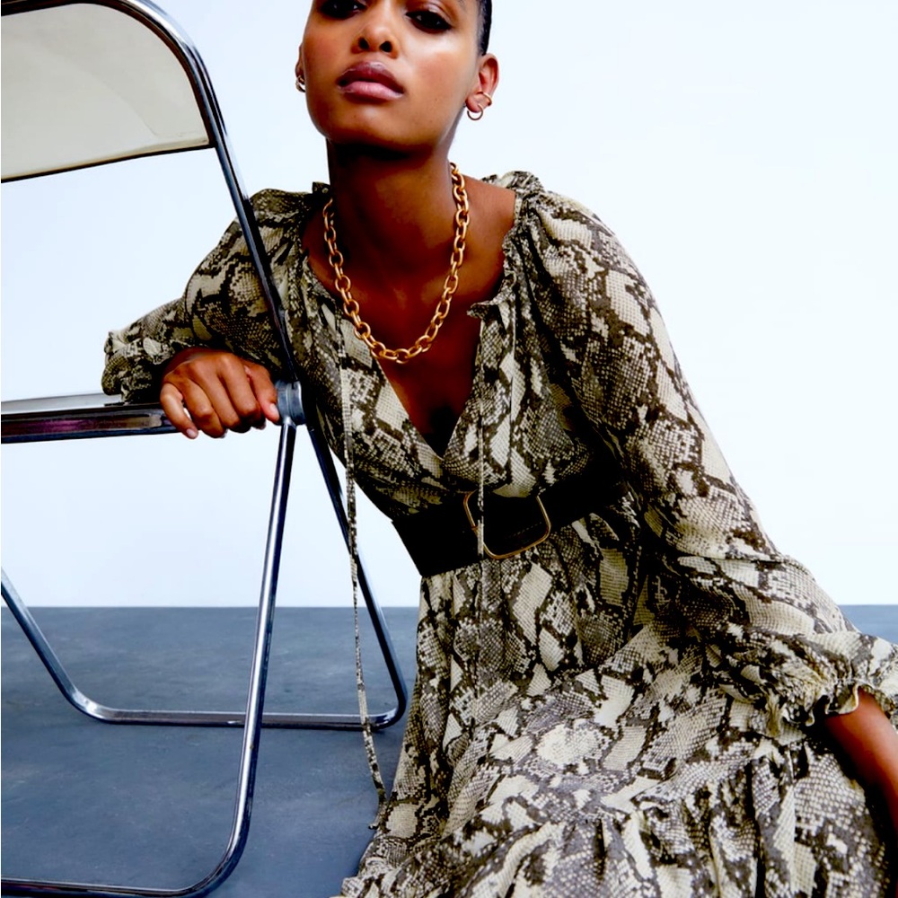Zara dress